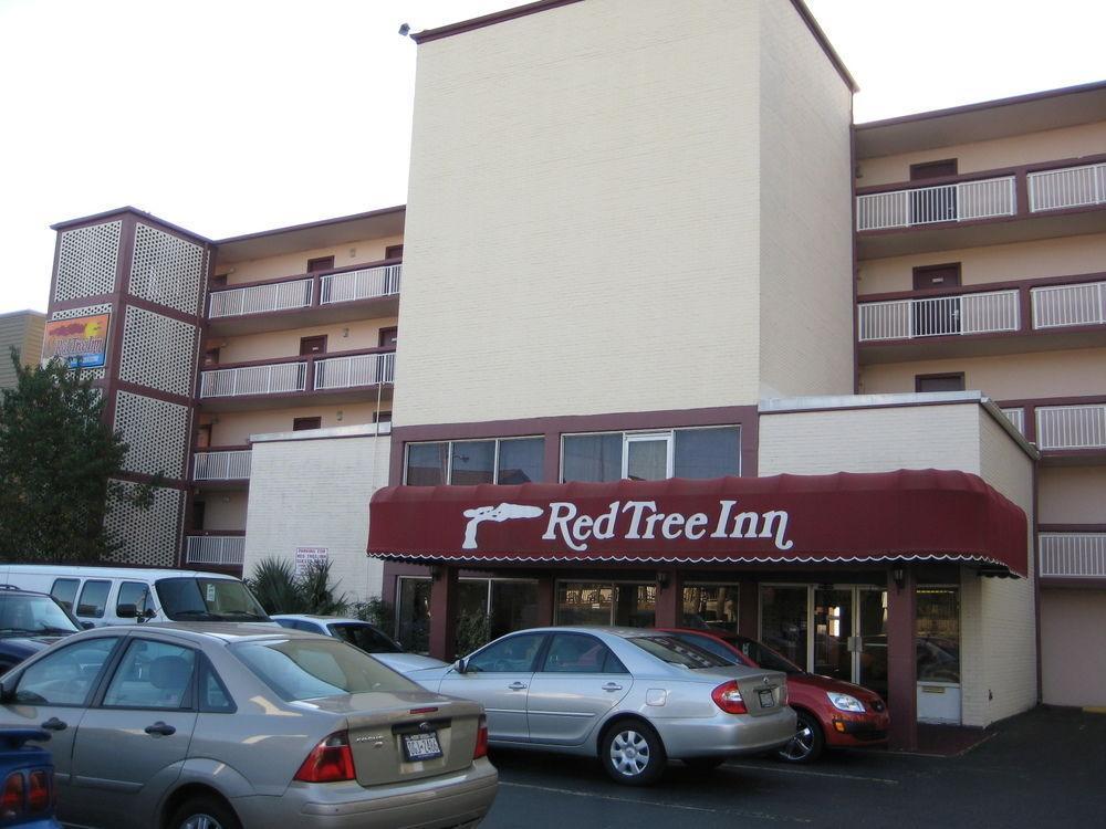 Oasis Hotel North Myrtle Beach Exterior foto